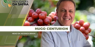 Com produção mais do que dobrando em 10  anos, café conilon do Brasil aumenta protagonismo em volume, qualidade e competitividade