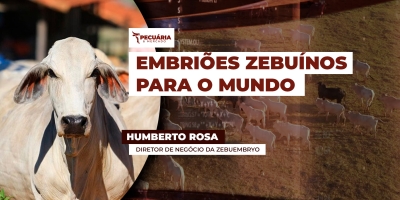 Brasil exporta embriões zebuínos e impulsiona formação de rebanhos adaptados ao clima tropical