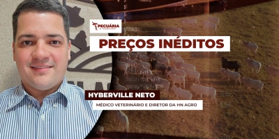 Mercado do boi tem preços inéditos para arroba e reposição com apoio da carne que  registra os maiores preços desde 2022
