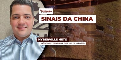 O que significa essa reabilitação de frigoríficos para China ?