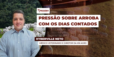 Notícias positivas da carne no atacado podem acalmar pressão sobre arroba do boi
