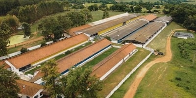 Ianni Agropecuária produz 7 mil toneladas de carne suína/ano e pode abastecer até 600 mil pessoas
