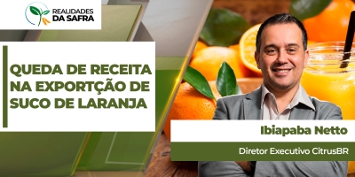 Safra 25/26 se encerra com exportação de suco de laranja estável em volume, mas com 30% de receita