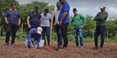 Projeto Caju beneficia mais de 100 produtores e distribui 10 mil mudas no semiárido cearense