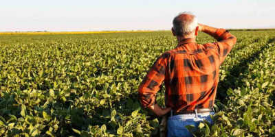 Inadimplência no agronegócio em 2025: o desafio do Banco do Brasil