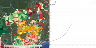Índice de vegetação (NDVI) abaixo da média acende alerta para a soja, aponta EarthDaily