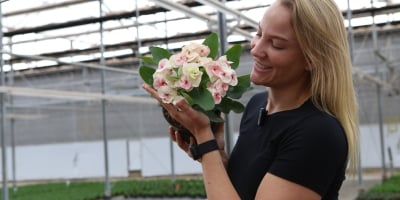 Melhoramento genético revoluciona a Coroa-de-Cristo no Brasil