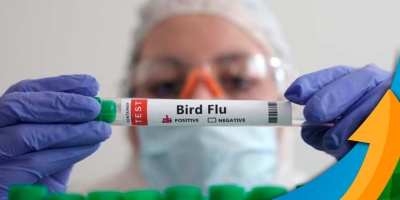 Austrália confirma propagação da gripe aviária H5N1 na população de aves nativas