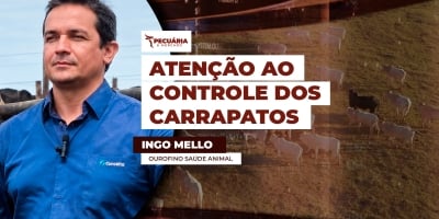 Controle do carrapato exige monitoramento e estratégia para evitar prejuízos à produção