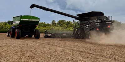 Primeiros registros da colheita 25/26 de soja do Brasil começam a chegar e com boas perspectivas