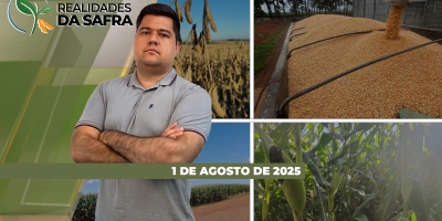 Colheita do milho praticamente finalizada e com altas produtividades em Sinop/MT e Cerejeiras/RO