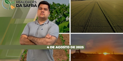 Colheita do milho se encerrando com altas produtividades em Barra do Garças/MT e avançando com resultados variados em São Paulo