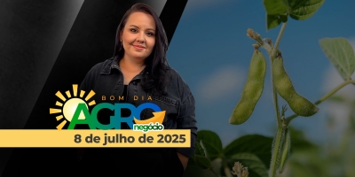 Bom Dia Agro 08/07/2025 - Desenvolvimento da safra americana, vendas de milho e soja em MT e o mercado do gergelim em alerta