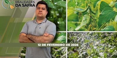 Rio Grande do Sul ainda sente impactos das enchentes de 2024 nos solos do estado