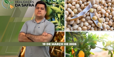 Colheita da soja segue atrasada no Mato Grosso do Sul, enquanto Rio Grande do Sul inicia colheita dos citrus