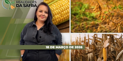 REALIDADES DA SAFRA - EDIÇÃO 18/03/2026