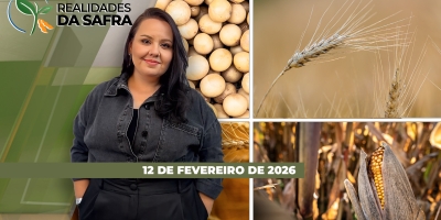 REALIDADES DA SAFRA - EDIÇÃO 12/03/2026