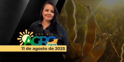 Bom Dia Agro 11/08/2025 - Declarações de Trump sobre a China, soja disparada em Chicago e o futuro dos vetos ao PL do licenciamento ambiental