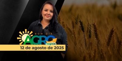 Bom Dia Agro - 12/08/2025