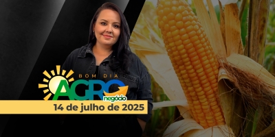 Bom Dia Agro 14/07/2025 - Últimas ações de Trump, alta nos fretes com avanço da colheita do milho, incêndio em silo do RS e mercado da soja