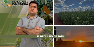 Colheita do milho ganhou ritmo e avança rápido em Mato Grosso, Cascavel/PR e Laguna Carapã/MS