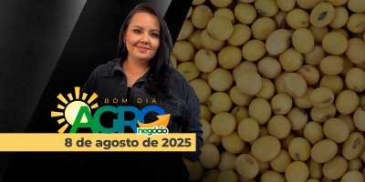 Bom Dia Agro 08/08/2025 - Brasília em alerta, programa de exportações de soja e milho americano e as distantes negociações comerciais BR x EUA