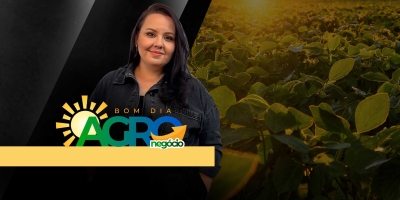 Commodities agrícolas recuando, cadeias globais se reorganizando e agricultura tropical em evidência
