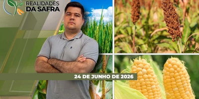 Chuva atrapalha colheita do milho no Paraná e preocupa para a sequência do trigo no Rio Grande do Sul