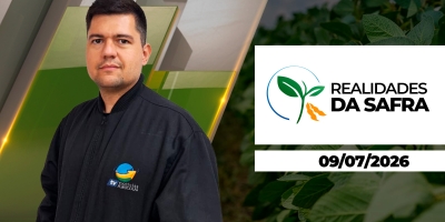 Pausa das chuvas deve ajudar colheita do café a avançar após atraso das atividades