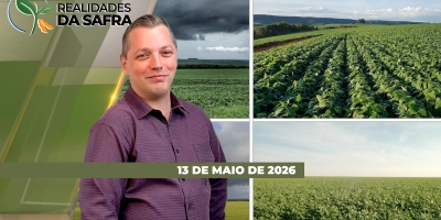 Impactos climáticos trazem incertezas para a produtividade do ciclo 25/26 de grãos