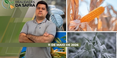 Fim de semana de temperaturas baixas causou geadas em Carazinho/RS e Pato Branco/PR