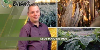 REALIDADES DA SAFRA - EDIÇÃO 12/05/2026