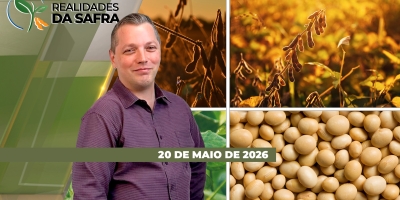 Votação do PL do endividamento rural no radar da gestão dos produtores rurais, que também buscam tecnologias para o aumento da produtividade