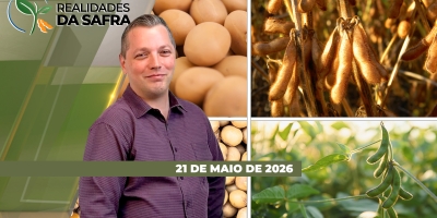 Agro em atenção: PL do endividamento rural e eventos climáticos extremos em 2026 estão no radar dos produtores