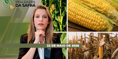 REALIDADES DA SAFRA - EDIÇÃO 22-05-2026