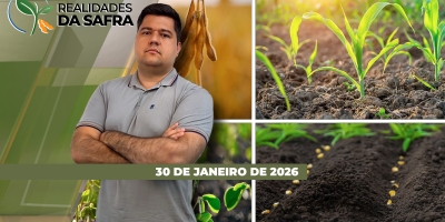 Chuvas trazem alerta para a colheita em Primavera do Leste/MT e falta de precipitações afeta desenvolvimento da soja em Passo Fundo/RS