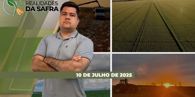 Colheita do milho perto do fim em Tapurah/MT e Santa Catarina, enquanto trabalhos começam a ganhar ritmo em Jataí/GO