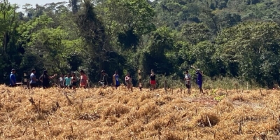 Sistema FAEP repudia nova invasão de terra no Oeste do Paraná