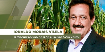 Mineiros/GO tem 40% do milho fora da janela ideal e com potencial produtivo em risco