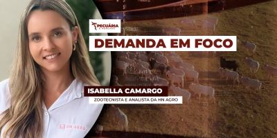 ENTREVISTA PECUARIA E MERCADO COM - Isabella Camargo  Zootecnista e analista da HN Agro