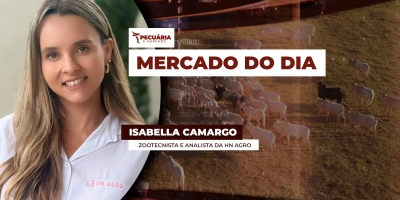 Cenários para arroba ao longo de junho e os fatores de atenção para o pecuarista