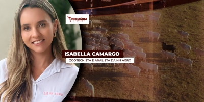 ENTREVISTA PECUARIA E MERCADO COM - Isabella Camargo  Zootecnista e analista da HN Agro