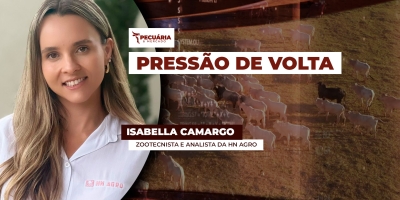 Aumento da oferta e alongamento das escalas promovem nova rodada de queda na arroba