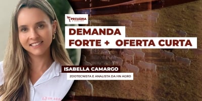 Demanda forte no mercado interno e na exportação e a menor oferta de fêmeas, impulsiona arroba