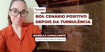 Dois temas precisam ficar no radar do pecuarista, a demanda interna e a tarifação da carne para os EUA
