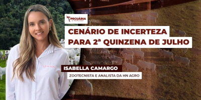Exportações de carne bovina que amenizaram queda da arroba na primeira quinzena de julho, surgem como dúvidas após tarifaço