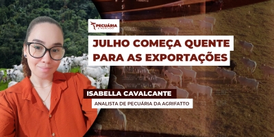 Preço da carne bovina brasileira no mercado internacional ganha fôlego e chega a US$5,5 mil /t