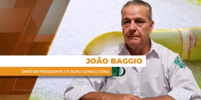 Preços internacionais sentem pressão de safra robusta e chegam a 13 cents em NY