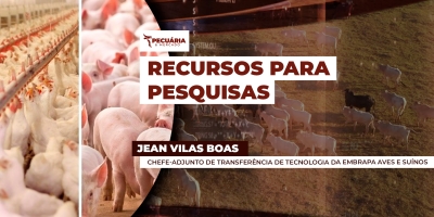 Pesquisas na Embrapa Aves e Suínos  avançam em três frentes, agro digital, sanidade e sustentabilidade