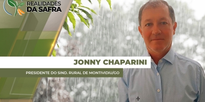 Montividiu/GO está há 26 dias sem chuvas e impactos já são sentidos pelas lavouras de milho